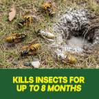 Raid Outdoor Ground Nest Wasp & Insect Killer Dust, 24 oz
