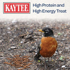 Buy now Kaytee Wild Bird Food Mealworms For Bluebirds, Wrens, Robins, Chickadees, Woodpeckers, Cardinals & Chickens, 3.5 Ounce at indiglob india