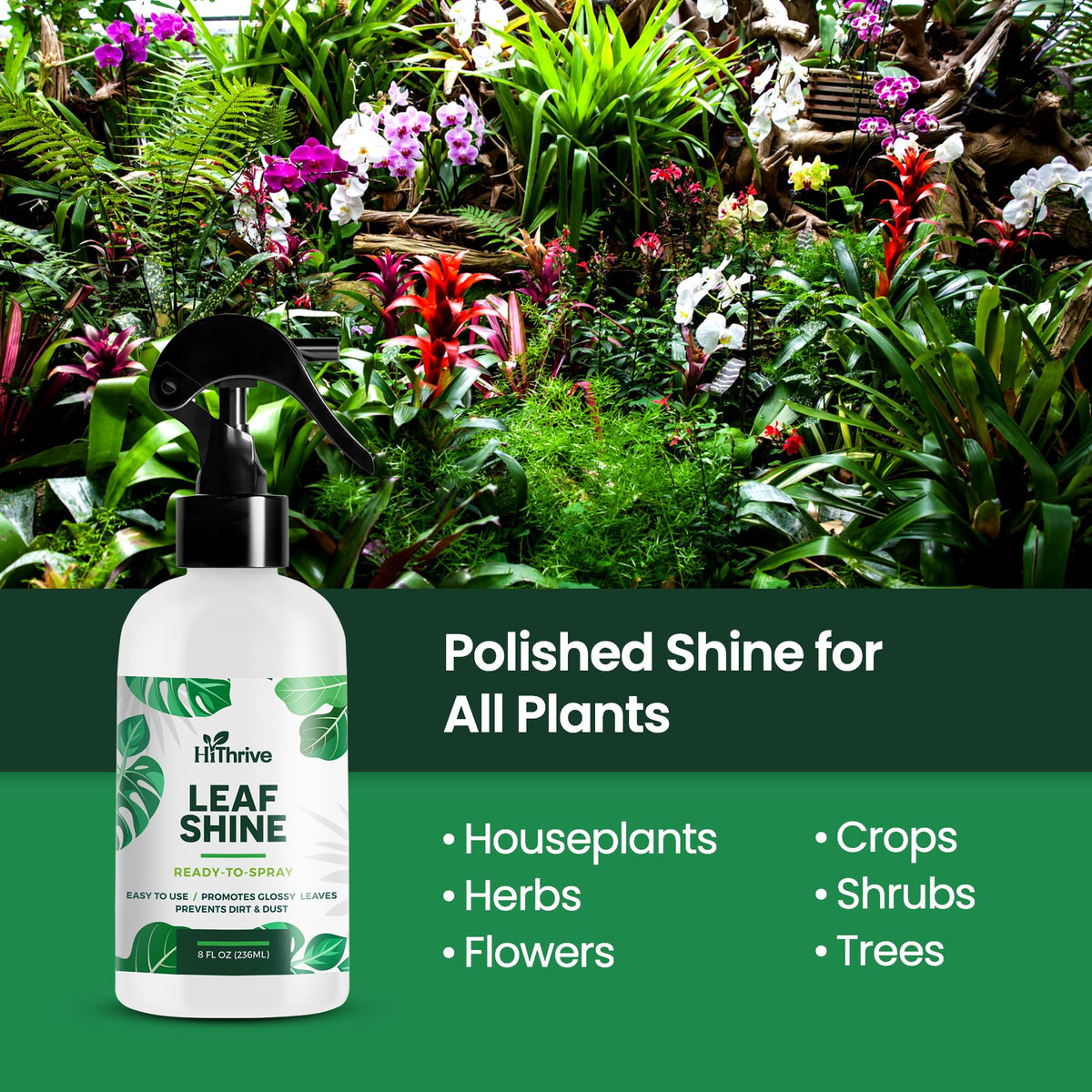 Leaf Shine Spray for Indoor Plants, Ready to Use Mist, 8oz