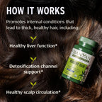 Banyan Botanicals Organic Healthy Hair Supplement – For Thickness, Shine & Scalp Health – with Bhringaraj, Amla & Brahmi – Natural Internal Hair Care & Follicle Support-90 Tablets-USDA Organic