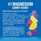 Natural Vitality Calm Magnesium Gummies | 330mg Per Serving | Raspberry Lemon Flavored Supplement | Gluten-Free & Vegan | 240 Count