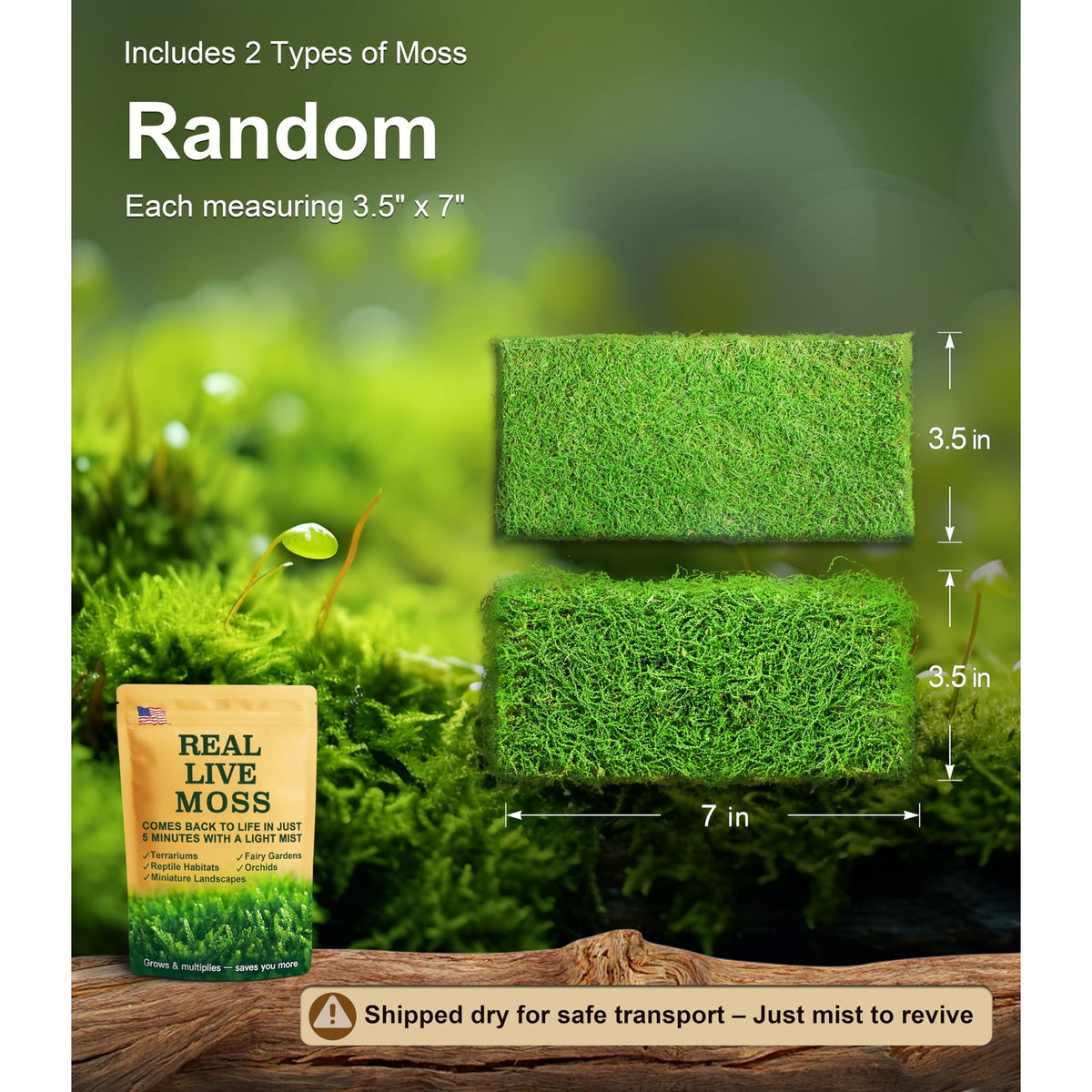 Live Moss Duo Pack 2 Types of Real Live Sheet/Sphagnum Moss for Terrariums, Terrarium Mosses Landscaping, Reptile Tank Accessories, Snake & Gecko Humidity Substrate Mosses for Crafts & Plant Décor