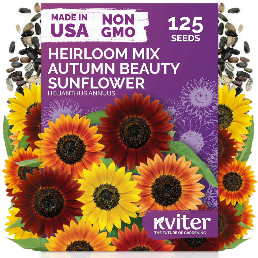 125 Autumn Beauty Mix Sunflower Heirloom Flower Seeds, Helianthus Annuus