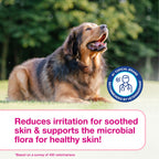 Douxo S3 Calm Itch Soothing Mousse for Dogs & Cats