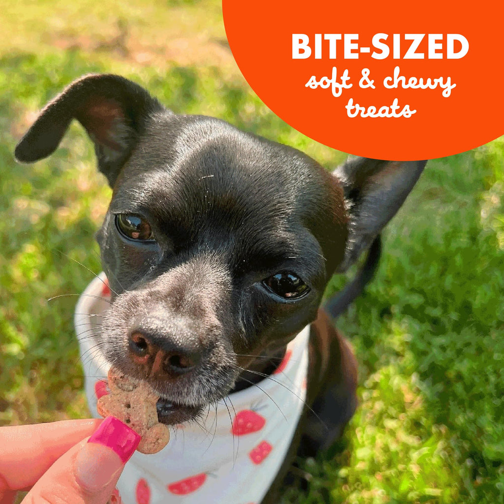 Buddy Biscuits 8 oz Bag of Softies Soft & Chewy Dog Treats, Peanut Butter