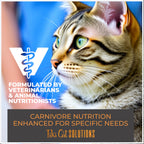 Tiki Cat Solutions Wet Cat Food, Tuna in Goats Milk, 6 oz. Spout Pouch