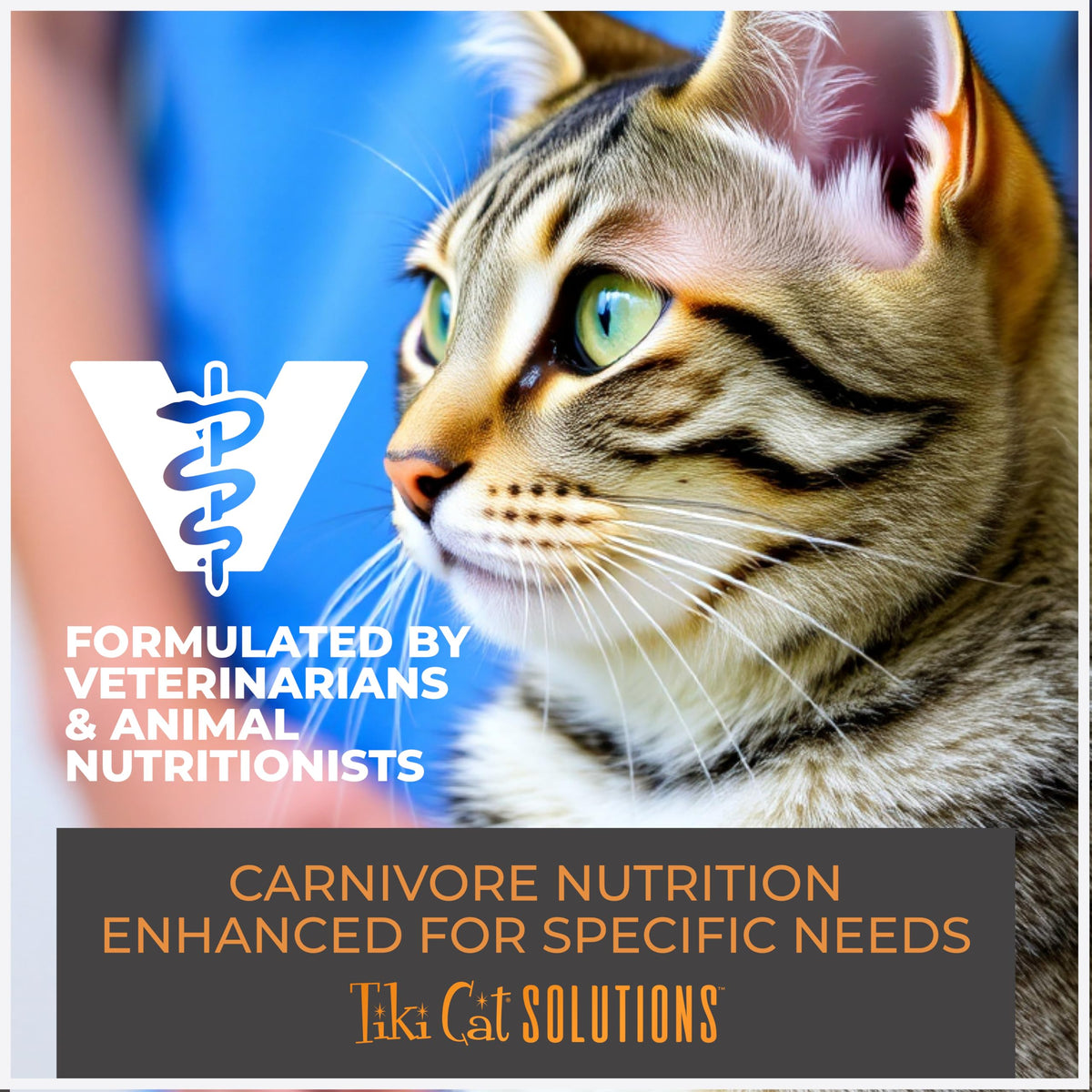 Tiki Cat Solutions Wet Cat Food, Tuna in Goats Milk, 6 oz. Spout Pouch