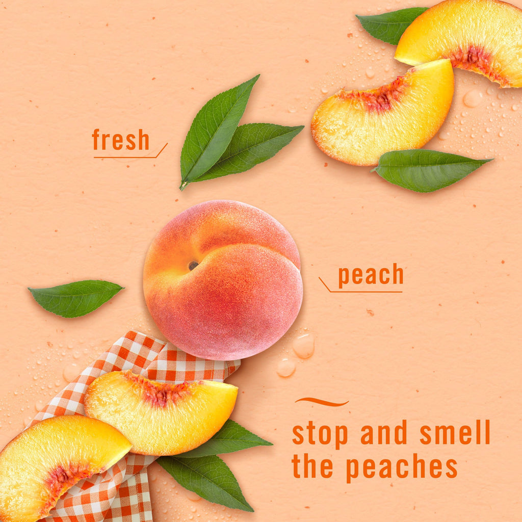Febreze Bathroom Air Freshener, Odor-Fighting, Plug In Alternative, Air Fresheners for Small Spaces in Home, Bathroom, Kitchen, & Closet, Lilac & Peach Scents, 4ct (2 of Each Scent)