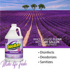 OdoBan Disinfectant Concentrate and Odor Eliminator, Made in the USA, Lavender Scent, 1 Gallon