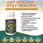 Carnivora Vegi-Caps - Gluten Free, Vegan Friendly Capsules to Strengthen and Support Your Immune System (100 Capsules)