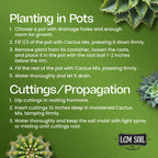 Cactus & Succulent Soil Mix, 0.5 Cu Ft