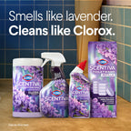 Buy now Clorox Scentiva ToiletWand Refills, Lavender and Jasmine, 20 Count at indiglob india