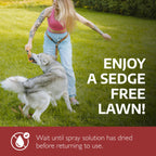 Sedgehammer Plus Turf Solution, 13.5 Grams, Nutsedge Control