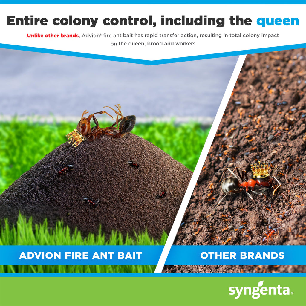 Syngenta - A20380A - Advion Fire Ant Bait - Insecticide - 2lb
