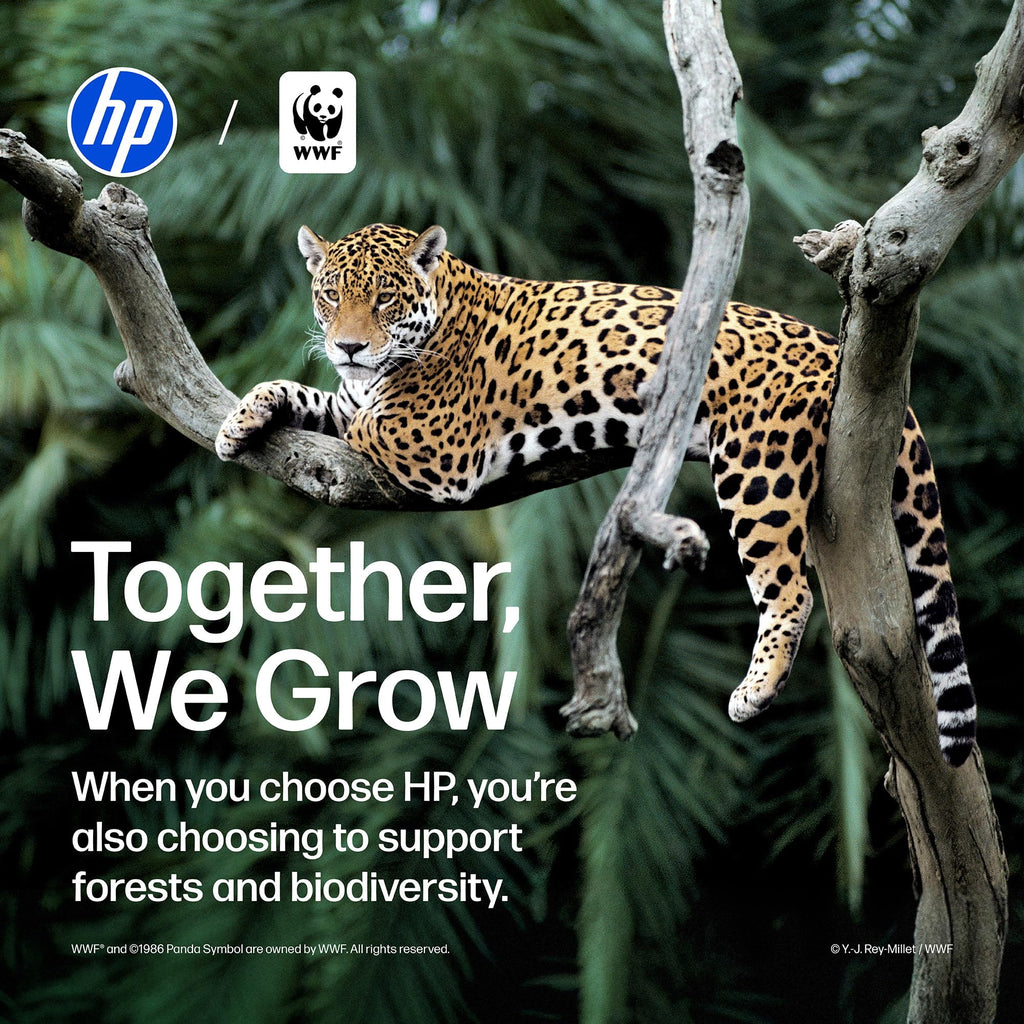 HP OfficeJet Pro 8125 Wireless All-in-One Color Inkjet Printer, Print, Scan, Copy, ADF, Duplex Printing Best-for-Home Office, 3 Month Trial of Instant Ink Included, AI-Capable (C2VJ4A)