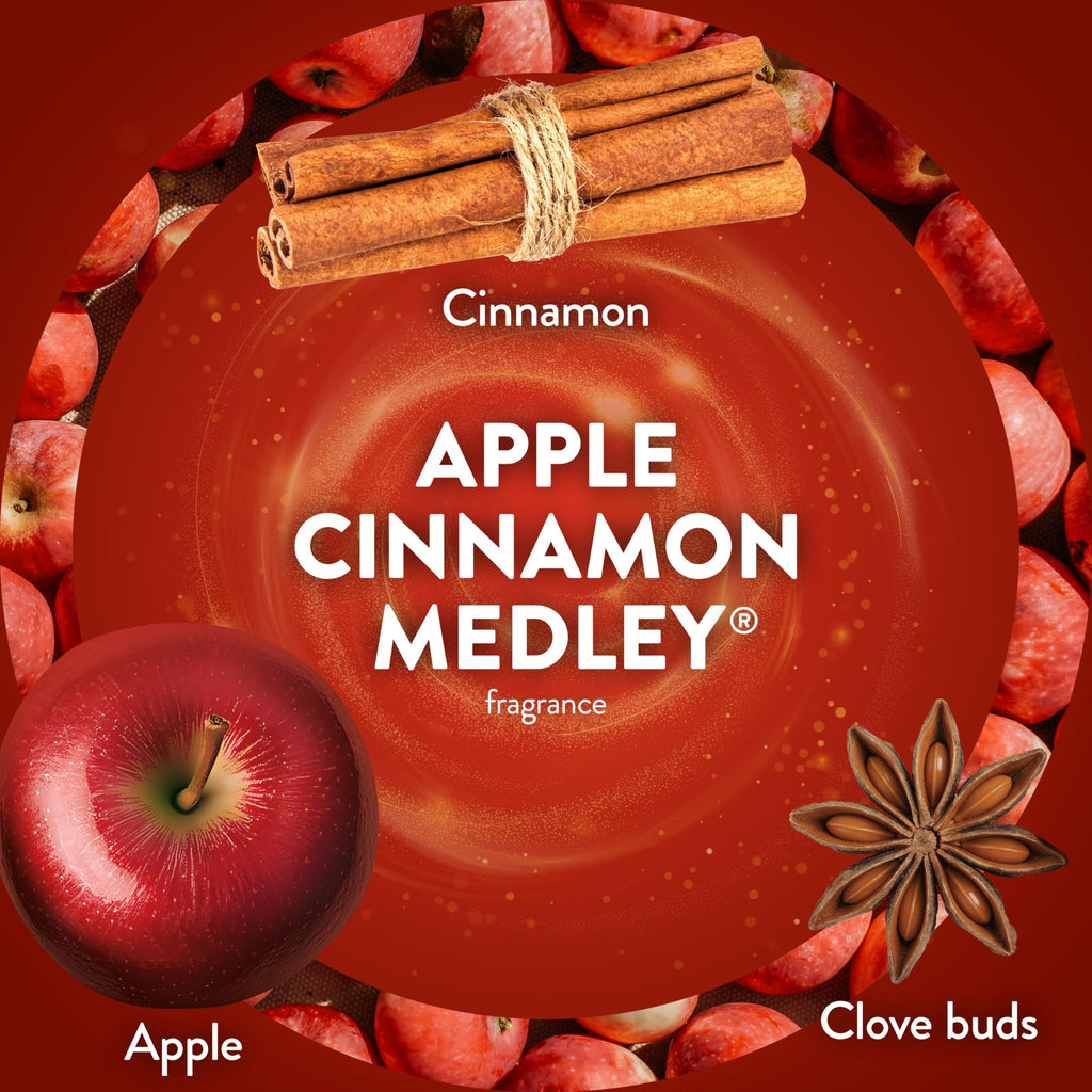 Air Wick Plug In Refill Apple Cinnamon Medley Fall Scent Essential Oils 7ct