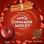 Air Wick Plug In Refill Apple Cinnamon Medley Fall Scent Essential Oils 7ct