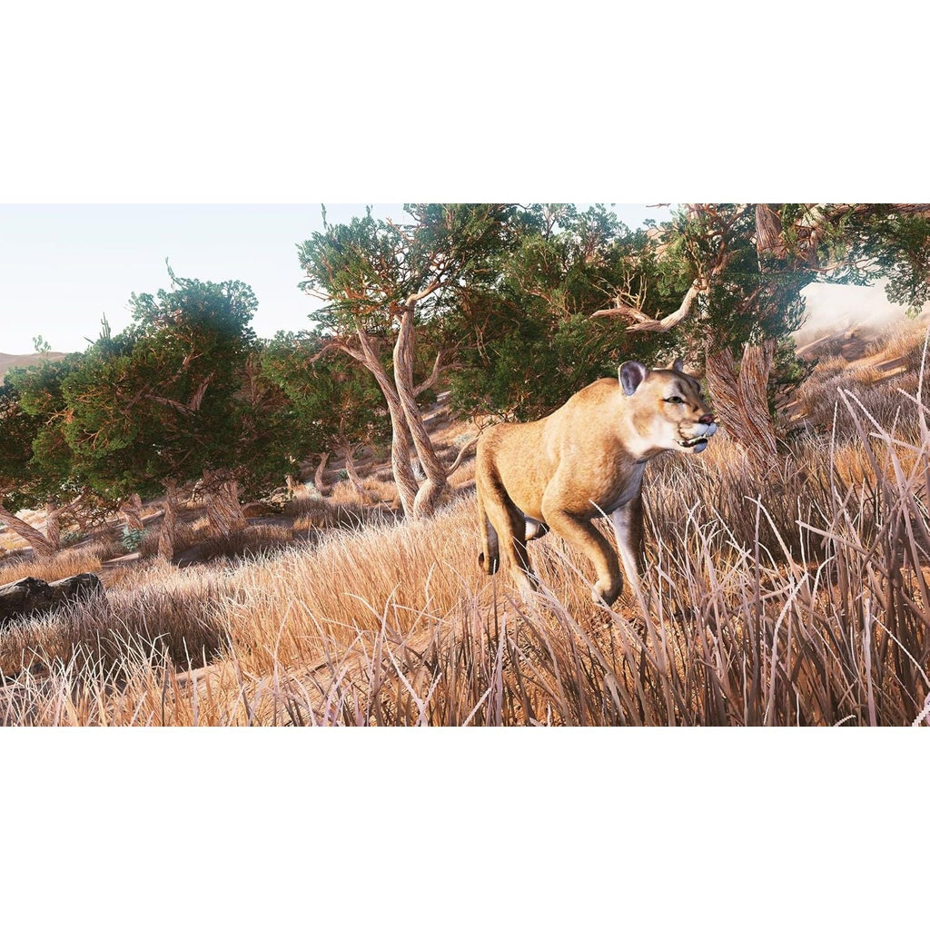 Buy now Hunting Simulator - Nintendo Switch at indiglob india