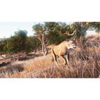 Buy now Hunting Simulator - Nintendo Switch at indiglob india