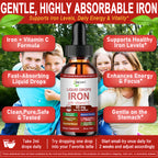 Iron Supplement Liquid Drops, High Absorption Iron Supplement for Women 65 mg, Liquid Iron for Red Blood Cell Support*, Vegan Essential Mineral Iron Drops with Vitamin C, Non-GMO, 30 Servings