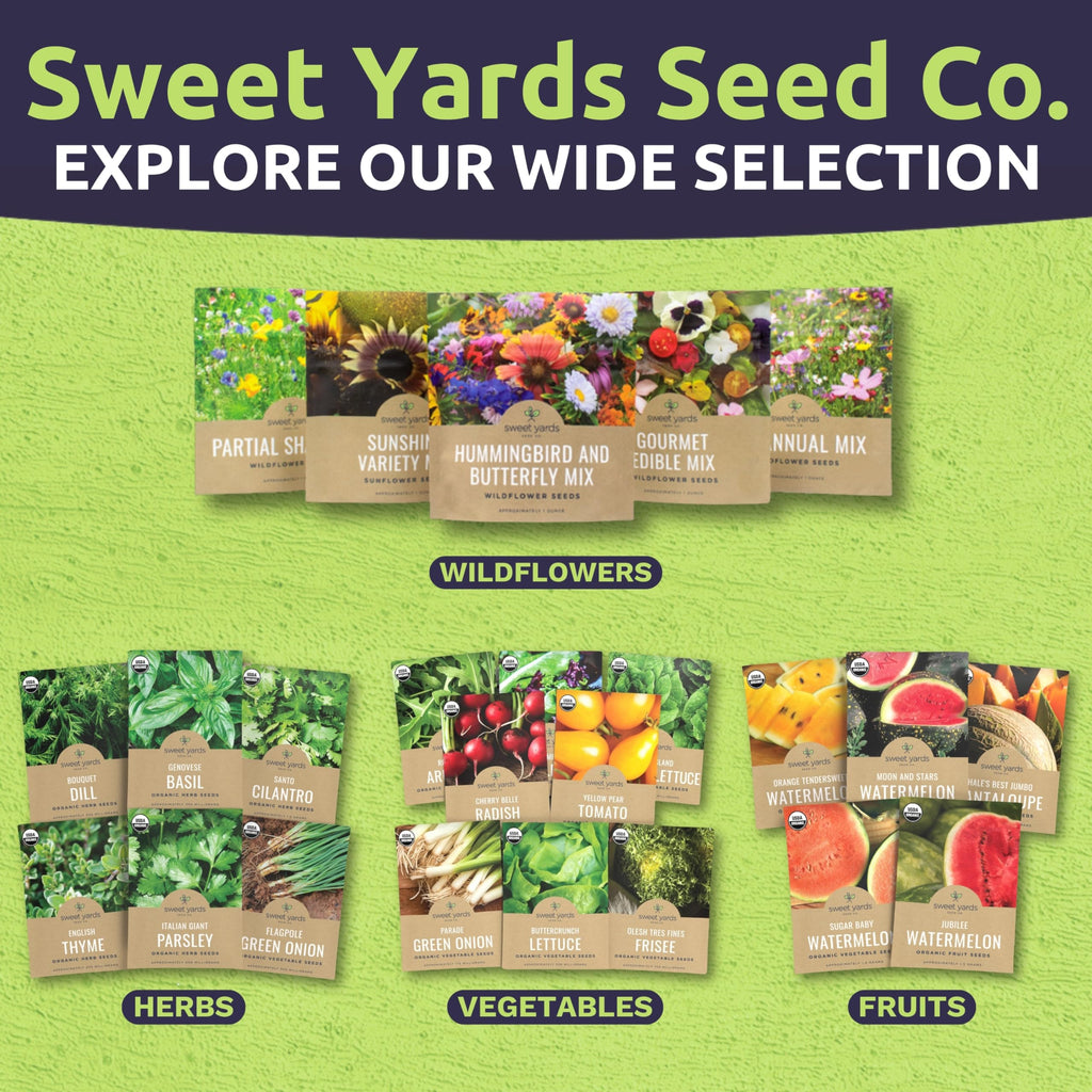 Milkweed Seed Variety Pack | 5 Individual Packs - 2026 Season - Showy, Pink Swamp, Butterfly Orange, Common Pink, Blood Flower | for Planting | by Sweet Yards