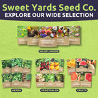 Milkweed Seed Variety Pack | 5 Individual Packs - 2026 Season - Showy, Pink Swamp, Butterfly Orange, Common Pink, Blood Flower | for Planting | by Sweet Yards