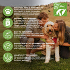Only Natural Pet Hemp Hip & Joint Support for Dogs - Supplement for Mobility Wellness Pain Relief Healthy Inflammatory & Bone Stiffness - Chews w/Fatty Acid Blend Mussels & Turmeric - 120 Count (H/J)