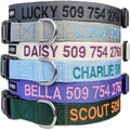 GoTags Personalized Dog Collar, Custom Embroidered Pet ID Dog Collar with Pet Name and Phone Number, Adjustable with Quick Release Snap Buckle
