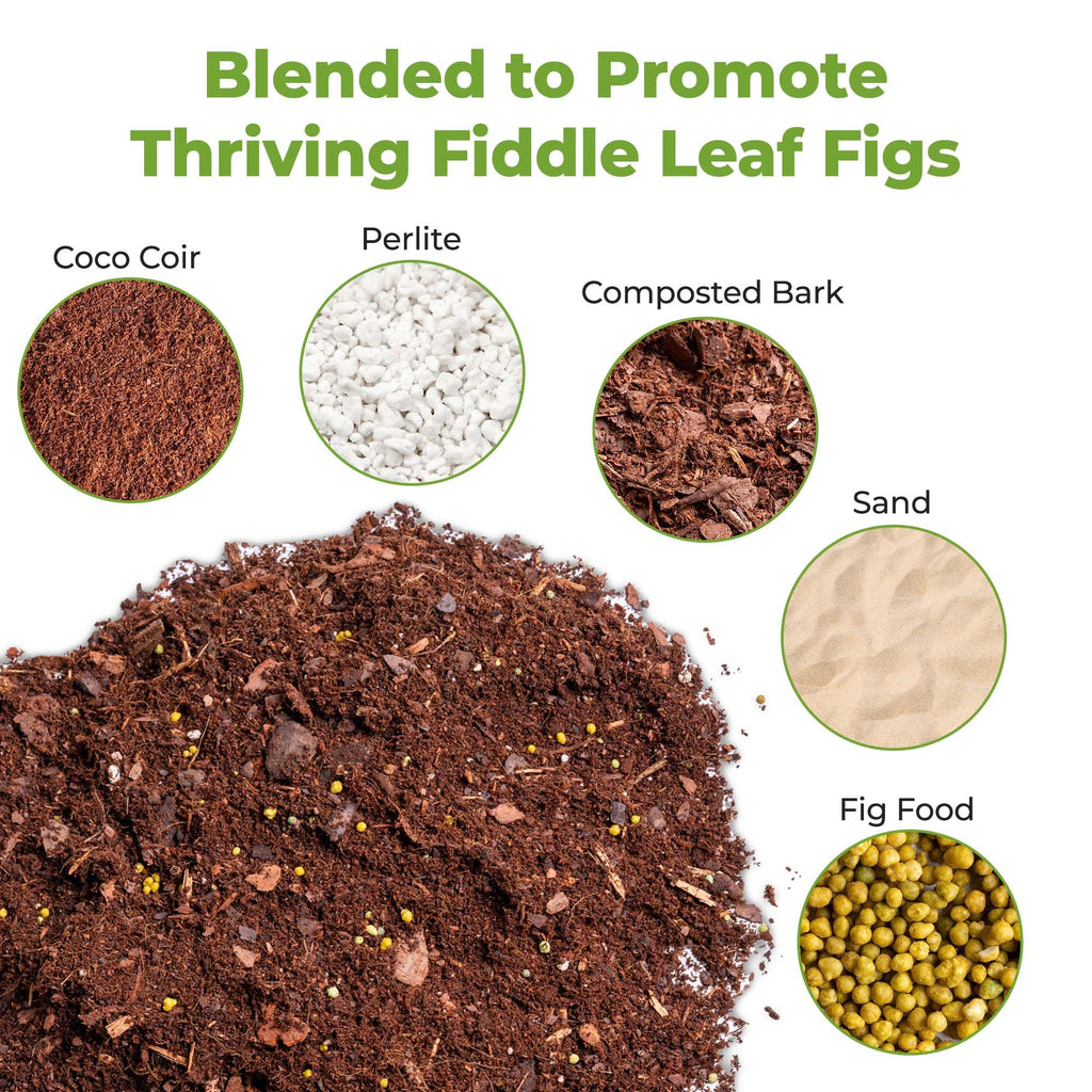 Perfect Plants Fiddle Leaf Fig Soil, 8 qt, Coconut Coir Potting Mix