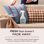 MRS. MEYER'S CLEAN DAY Fabric Freshener, Rain Water Scent, 20 Ounce Bottle