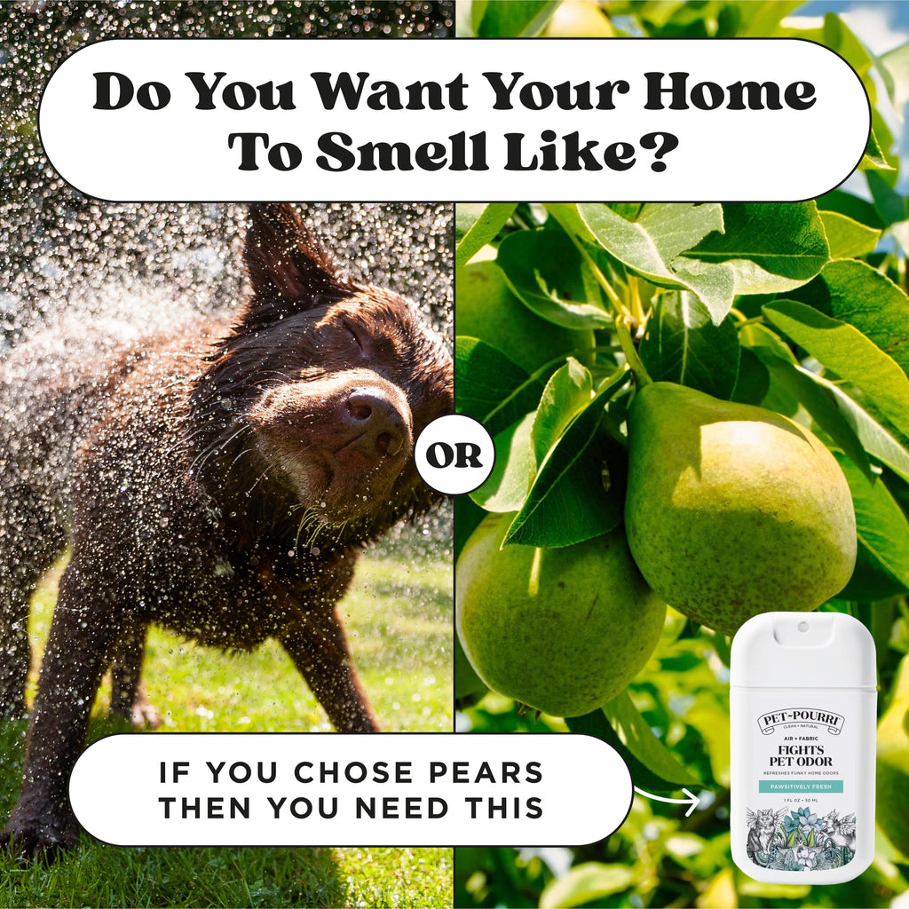 Pet-Pourri Pocket Deodorizer Spray, Pawsitively Fresh, 1 Fl Oz