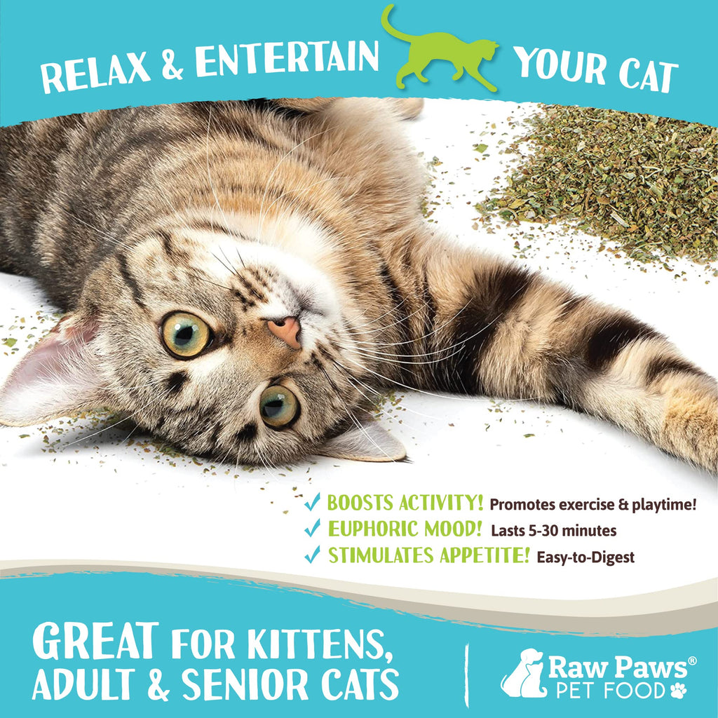 Raw Paws Dried Fresh Catnip for Cats, 1-oz (2 Cups)