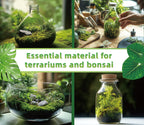 LUCKYRUNES Live Moss for Terrarium Bedding & Reptile Enclosures