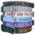 GoTags Personalized Dog Collar, Custom Embroidered with Pet Name and Number