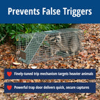 Havahart Large 1-Door Live Animal Trap for Raccoons, Cats, Bobcats, Beavers