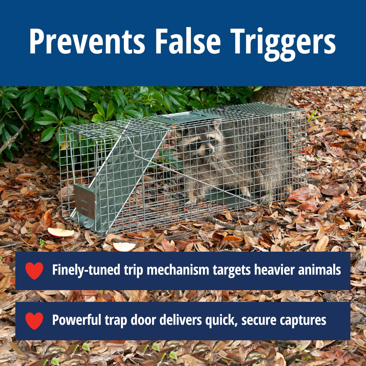 Havahart Large 1-Door Live Animal Trap for Raccoons, Cats, Bobcats, Beavers