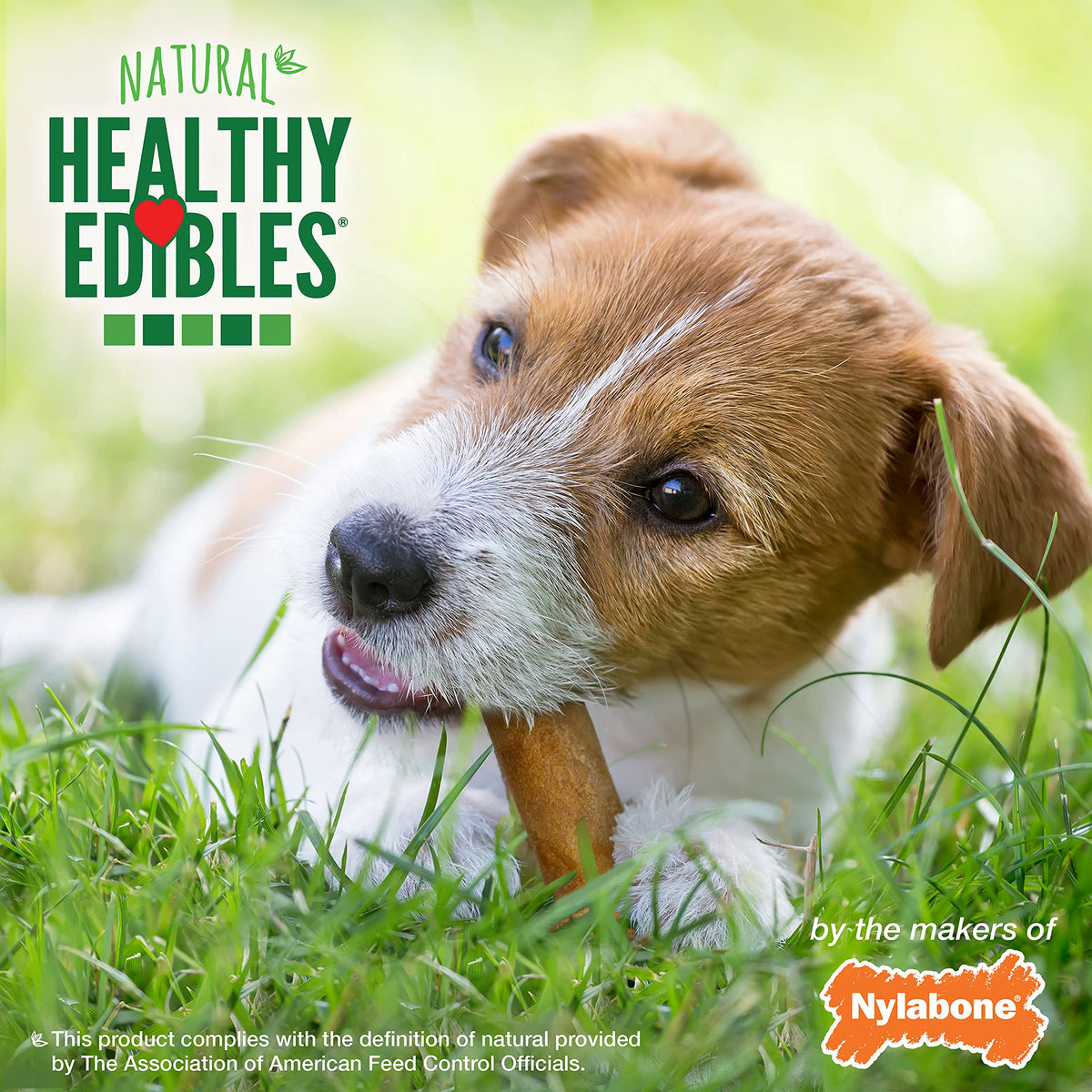 Nylabone Healthy Edibles Dog Treats Variety Pack, Small, 3 Count