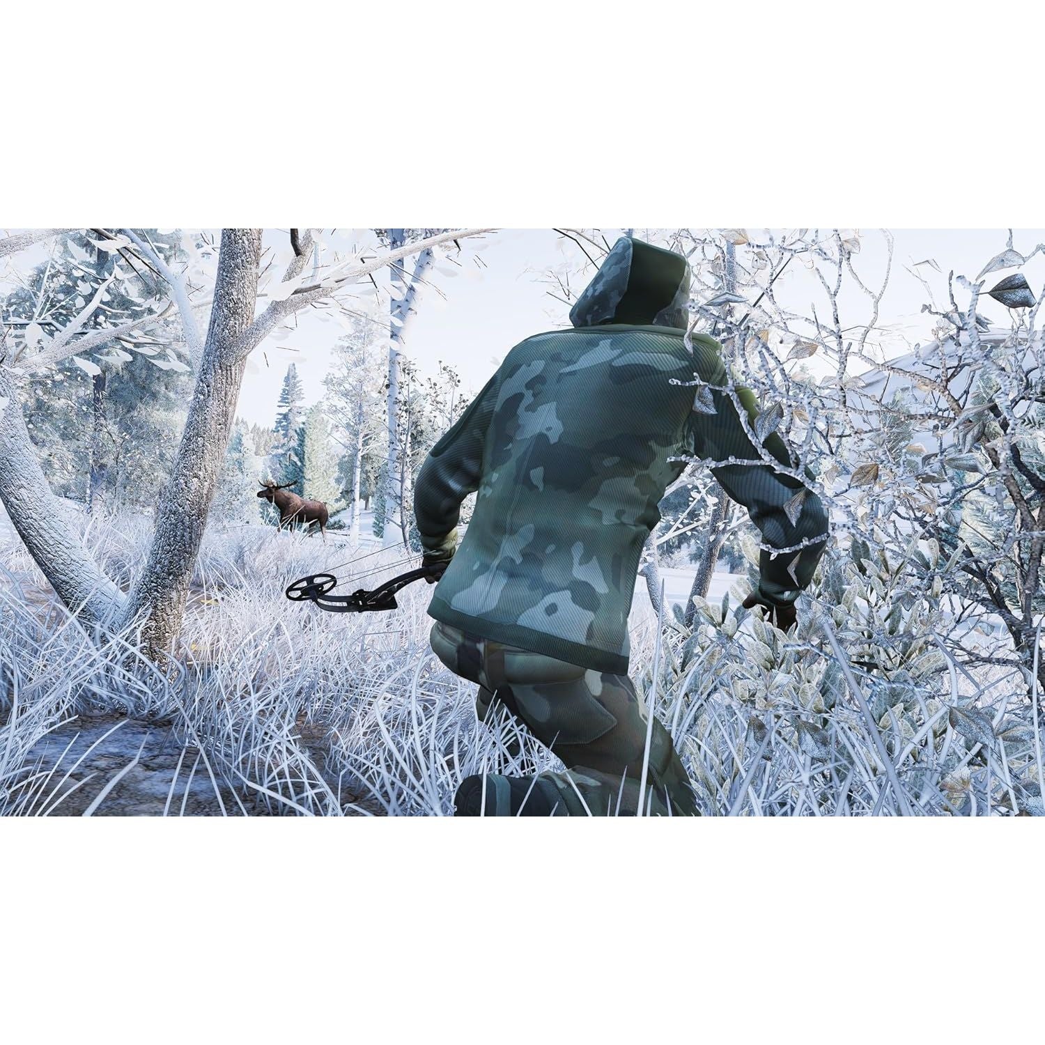 Buy now Hunting Simulator - Nintendo Switch at indiglob india