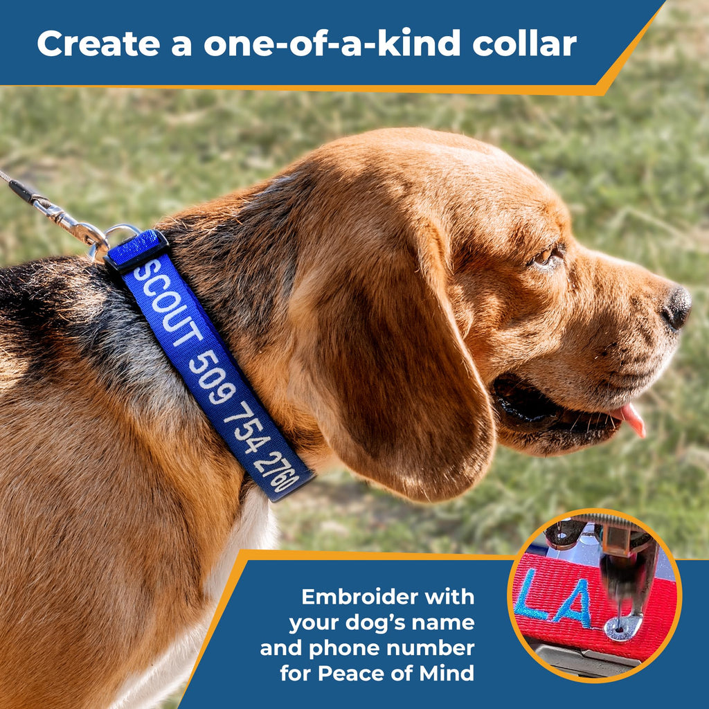 GoTags Personalized Dog Collar, Custom Embroidered Pet ID Dog Collar with Pet Name and Phone Number, Adjustable with Quick Release Snap Buckle