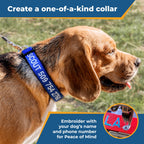 GoTags Personalized Dog Collar, Custom Embroidered Pet ID Dog Collar with Pet Name and Phone Number, Adjustable with Quick Release Snap Buckle