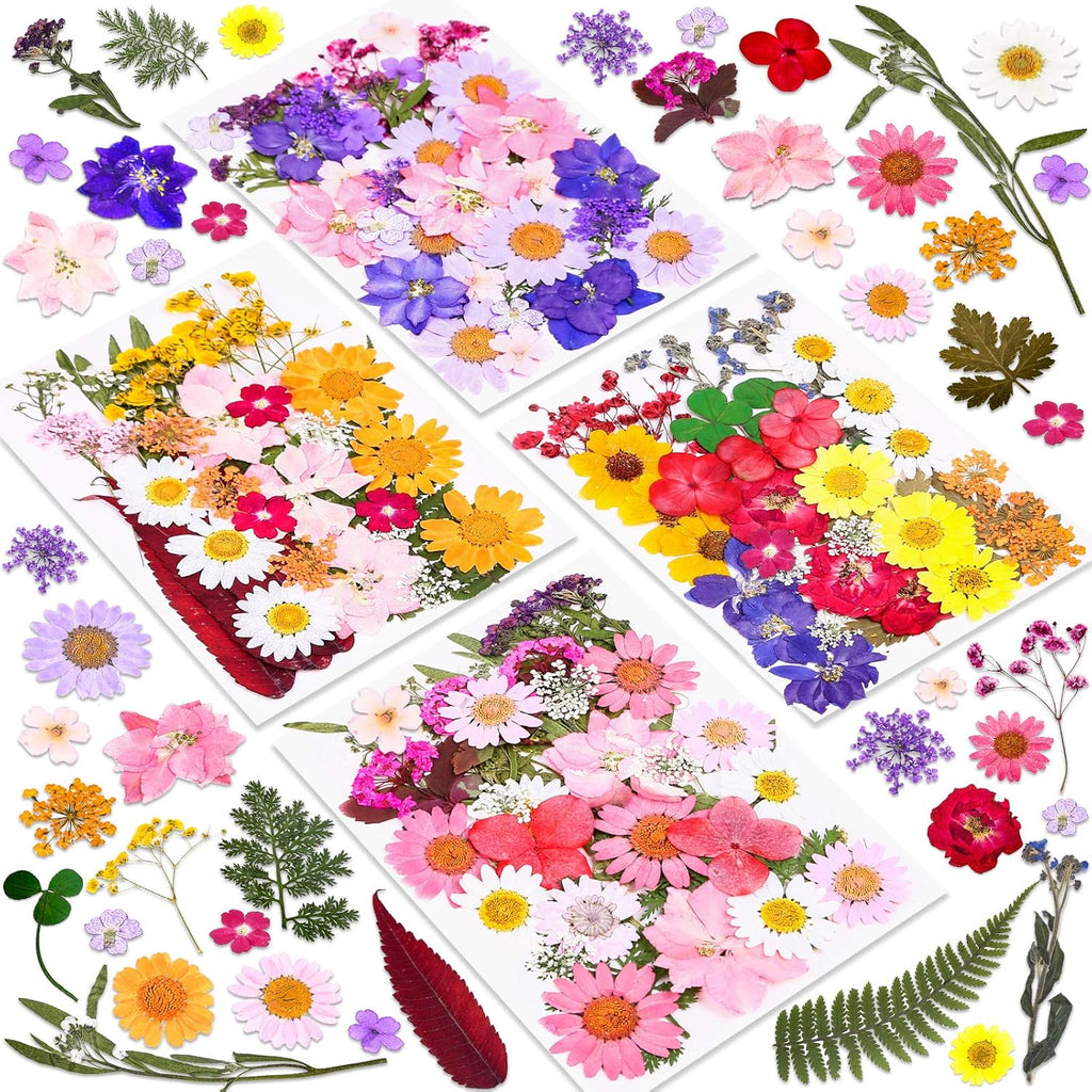 Buy now 140 Pcs Dried Pressed Flowers for Resin, Real Pressed Flowers Dry Leaves Bulk Natural Herbs Kit for Scrapbooking DIY Art Crafts, Epoxy Resin Jewelry Molds, Candle, Soap Making, Nails Décor Default at indiglob india