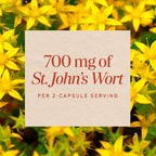 Nature's Way St. John’s Wort Capsules, 700 mg per Serving, 180 ct | Herbal Supplement Promotes a Positive Outlook*, 700 mg per 2-Capsule Serving, Non-GMO Project Verified, Vegan Capsules