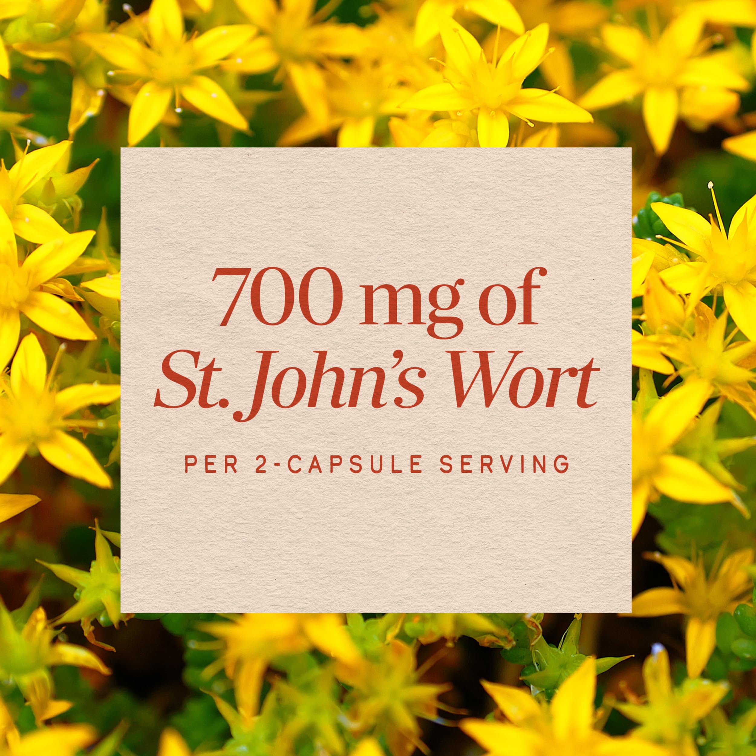 Nature's Way St. John’s Wort Capsules, 700 mg per Serving, 180 ct | Herbal Supplement Promotes a Positive Outlook*, 700 mg per 2-Capsule Serving, Non-GMO Project Verified, Vegan Capsules