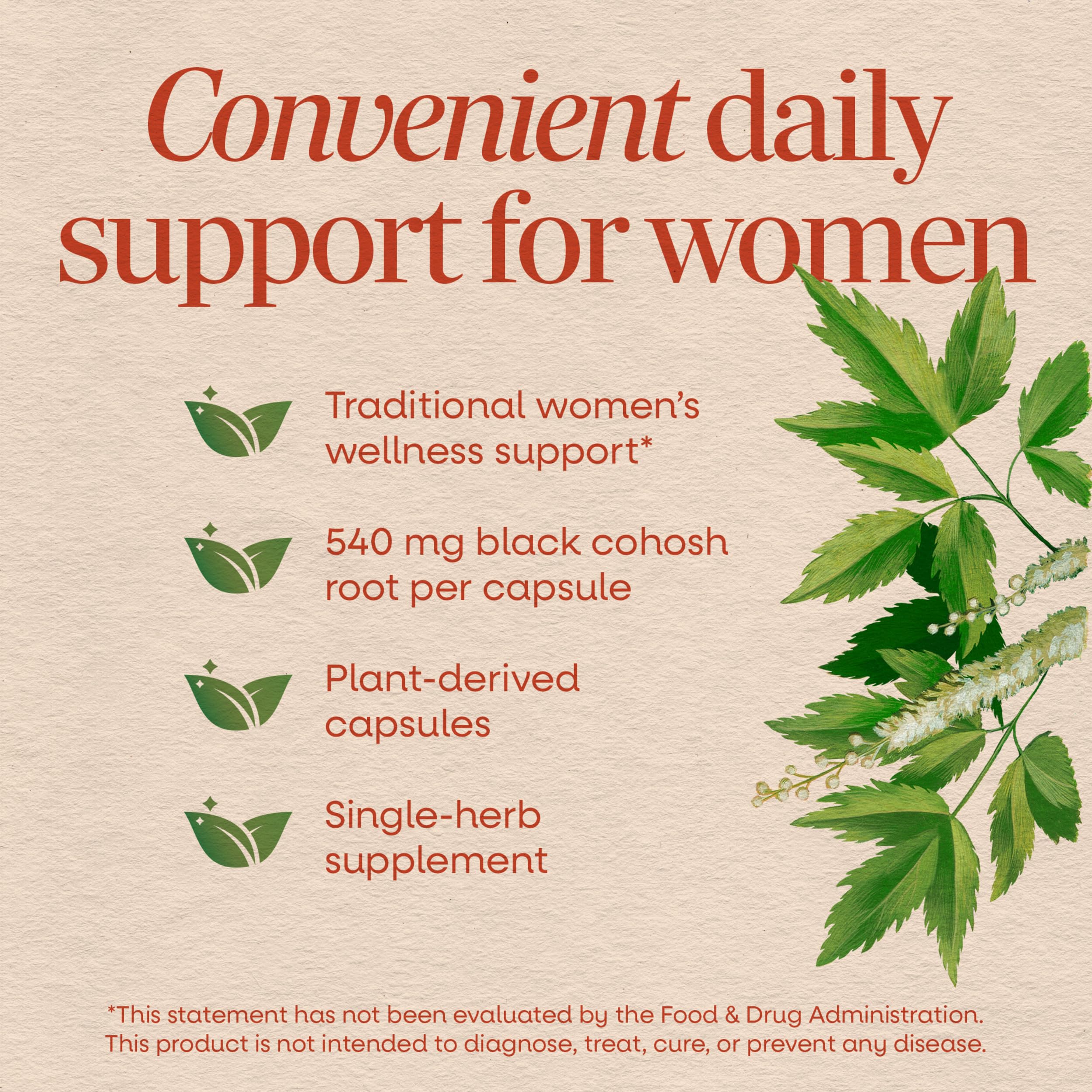 Nature's Way Herbs Black Cohosh Root Capsules, Vegan, 100 Count | Traditional Women’s Herbal Supplement*, Cimicifuga Racemosa Root, Non-GMO Project Verified, Vegan Capsules