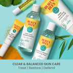 Burt's Bees Herbal Blemish Stick, 0.26 Fl Oz (Pack of 2), Tea Tree Oil Infused, Soothing, Exfoliating, Cleansing, Unisex