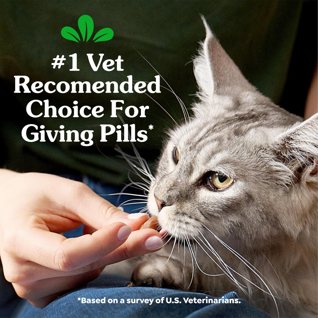 Buy now Greenies Feline Pill Pockets for Cats Soft Cat Treats, Chicken Flavor, 1.6 oz. Pouch, 45 Count at indiglob india