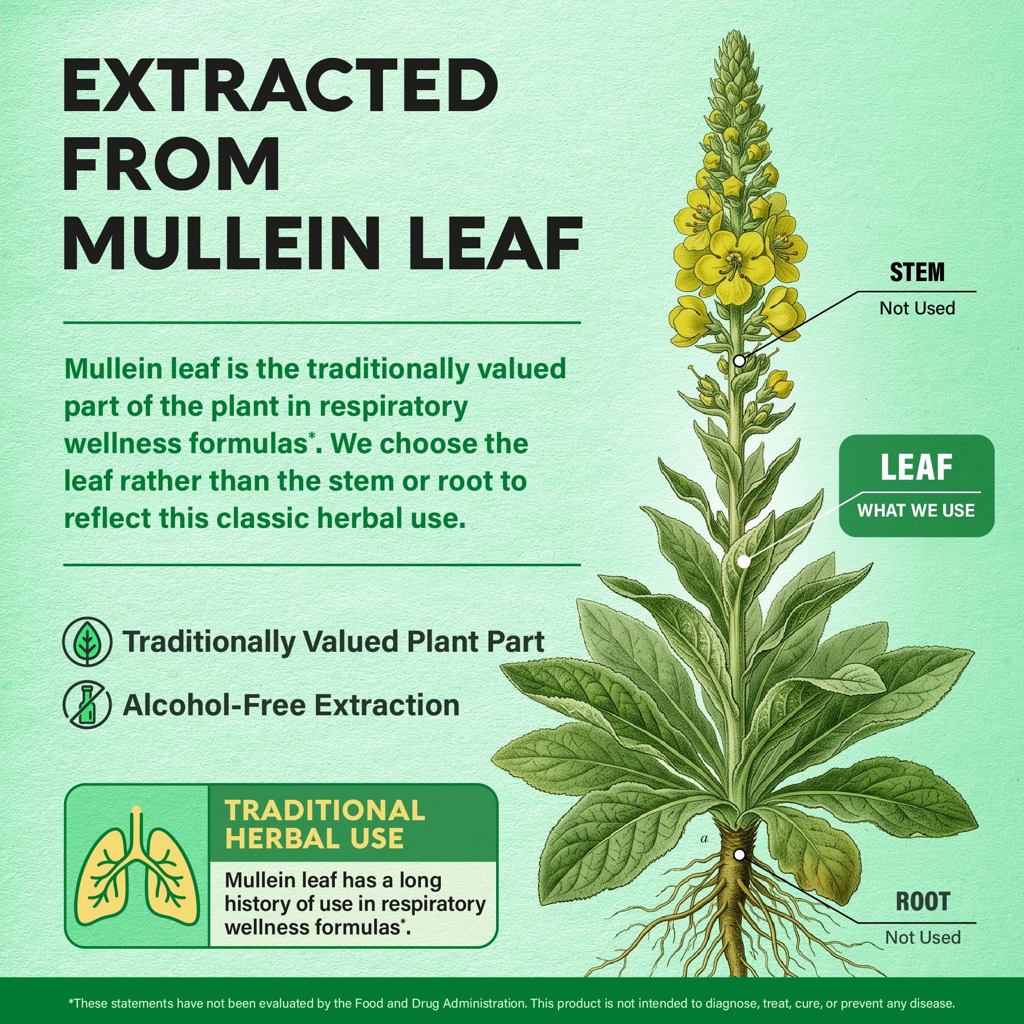 Mullein Lung Detox - Mullein Leaf 10:1 Extract Supplement - 60 Vegan Caps | Marshmallow Root | Echinacea | Quercetin | NAC - 15-in-1 Lung Support & Cleanse for Smokers Supplement - for Women & Men