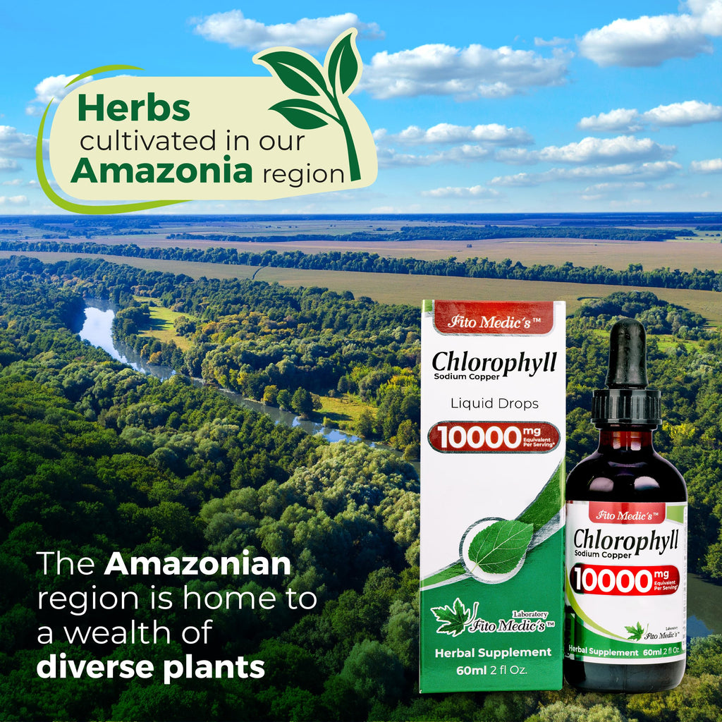 FITO MEDIC'S Lab | Liquid Chlorophyll | Chlorophyll Liquid Drops | 50 mg 200:1 Ratio Extract per Serving.