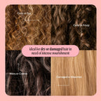 MONDAY HAIRCARE Repair Shampoo and Conditioner Set (2 Count) 12 oz For Dry to Damaged Hair Made with Keratin, Coconut Oil, Shea Butter, and Vitamin E