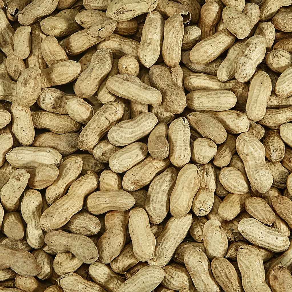 Kaytee Whole Peanuts in Shell for Cardinals, Blue Jays, Woodpeckers and Other Outside Wild Birds, Two 5 Pound Bags